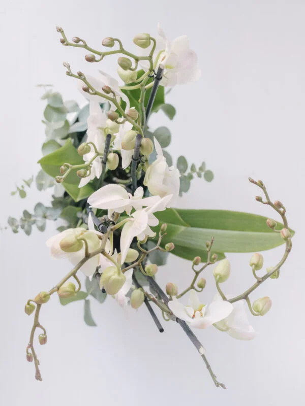 Aranjament Cu 2 Orhidee La Ghiveci Albe In Vas Ceramic