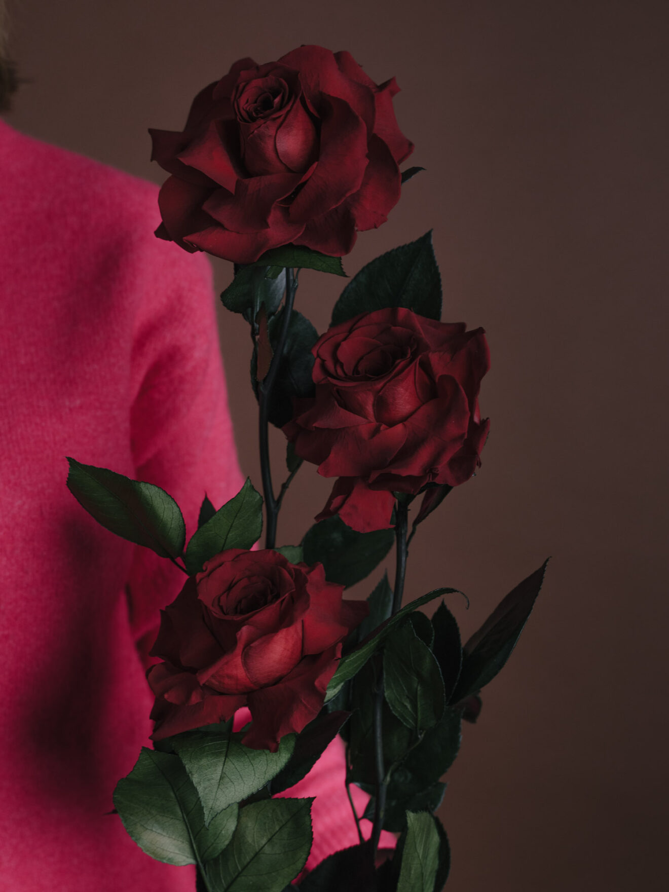 Aranjament Cu Trandafiri Criogenați Roșii Queen Suceava