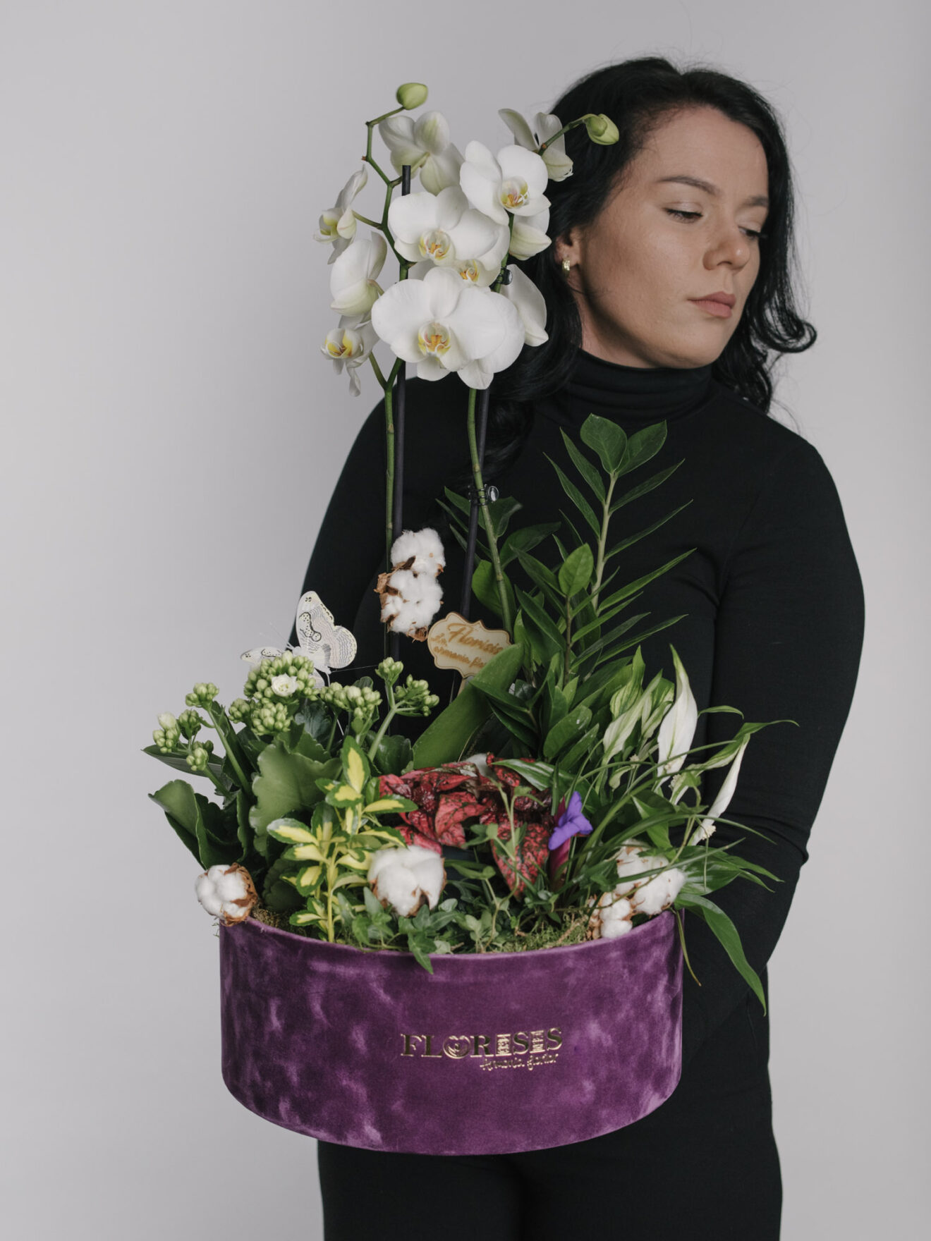 Aranjament Cu Plante În Cutie De Catifea