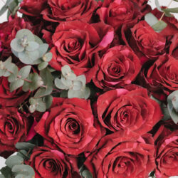 Aranjament În Cutie De Catifea Cu Trandafiri Roșii