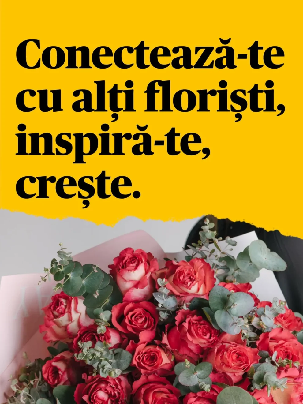 Vinde pe Superflori