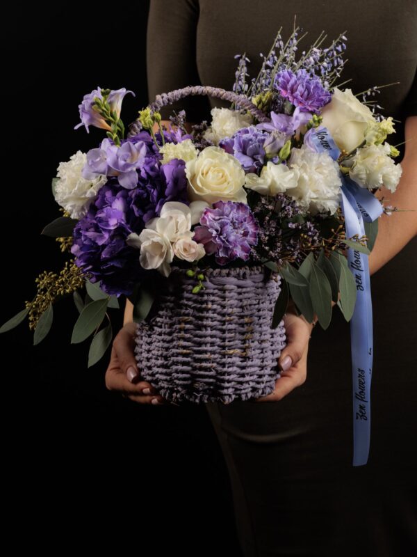 Gentle Violet Hush