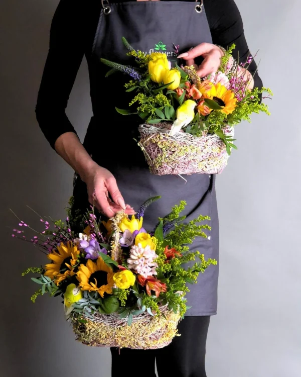 Girasole mio