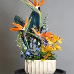 L'envol tropical