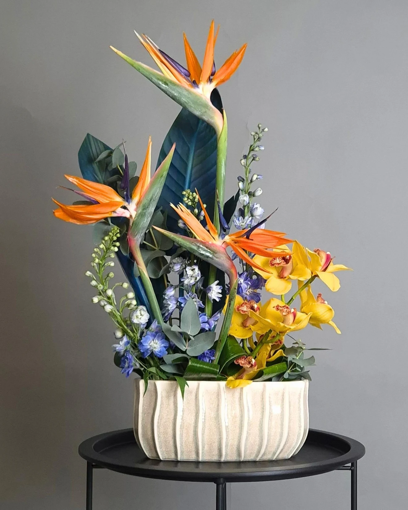 L'envol tropical
