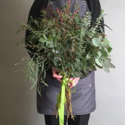 Verde silenzio