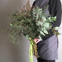 Verde silenzio