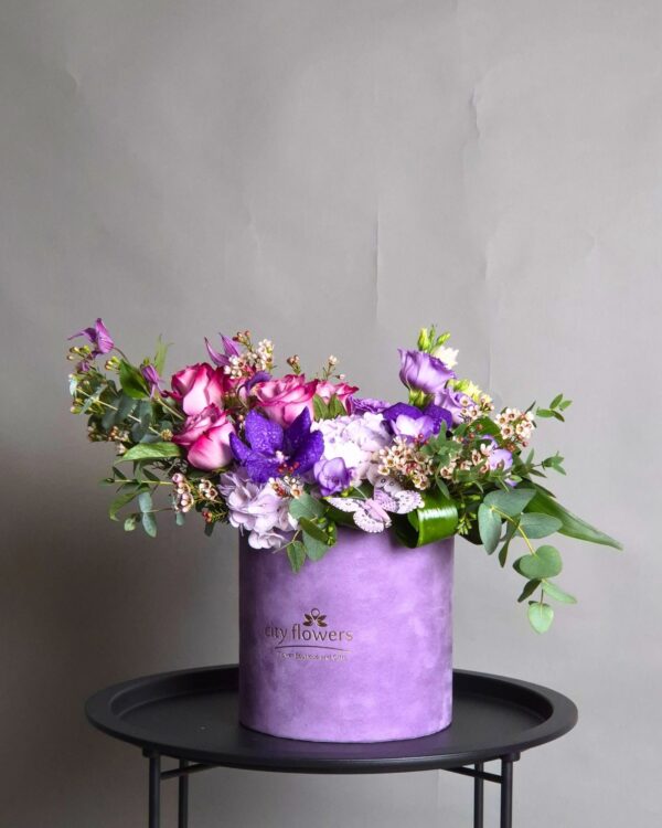 Violet asumat