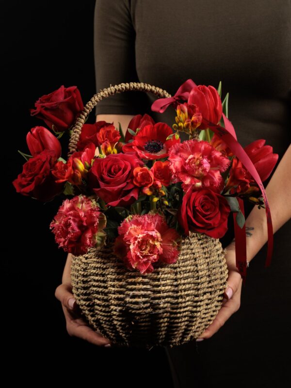 Warm Embrace of Red